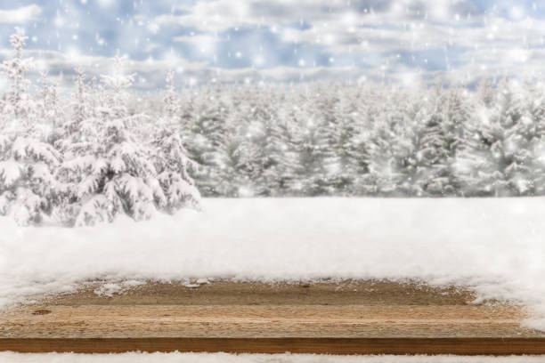 istock Empty rustic wooden table in snowy winter landscape. Copy space background for product or text 1443853113