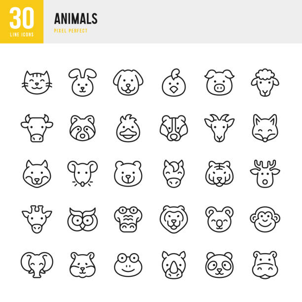 동물-얇은 선 벡터 아이콘 세트입니다. 30 아이콘. 완벽한 픽셀. 세트에는 고양이, 개, 토끼, 햄스터, 염소, 돼지, 말, 소, 오리, 닭, 올빼미, 너구리, 여우, 늑대, 곰, 사슴, 원숭이, 기린, 사자, 코뿔� - cute cow vector animal stock illustrations