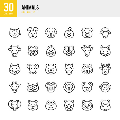 Animals - thin line vector icon set. 30 icons. Pixel perfect. The set includes a Cat, Dog, Rabbit, Hamster, Mouse, Goat, Pig, Sheep, Horse, Cow, Duck, Chicken, Owl, Raccoon, Badger, Fox, Wolf, Bear, Deer, Monkey, Giraffe, Lion, Rhinoceros, Hippopotamus, Elephant, Tiger, Koala, Panda, Frog, Crocodile.
