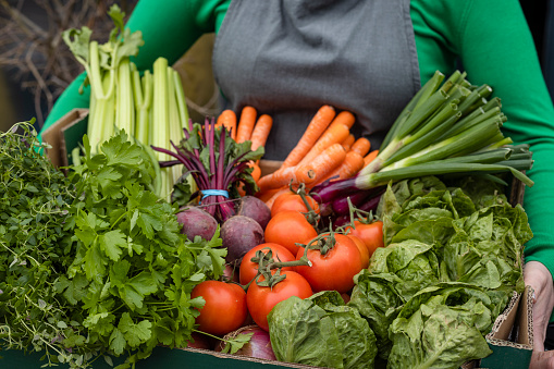 A close-up shot of an unrecognisable woman holding a bunch of fresh vegetables which includes tomatoes, beetroots, carrots radishes, cabbage, and celery.