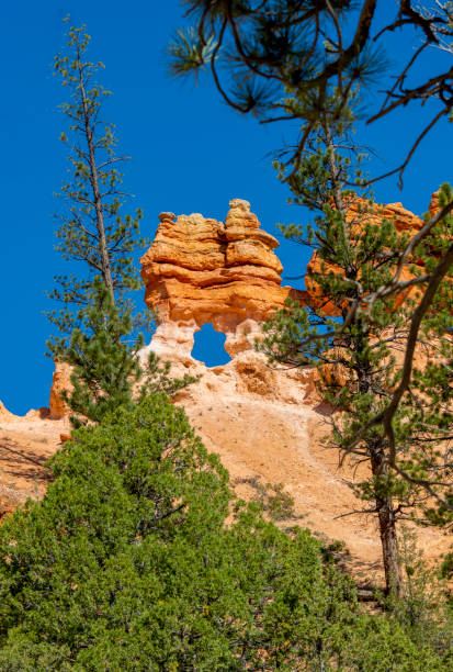 Hole through rock formation An unusual hoodoo formation in Bryce Canyon National Park. It is a spire with a hole through the base. robert michaud stock pictures, royalty-free photos & images