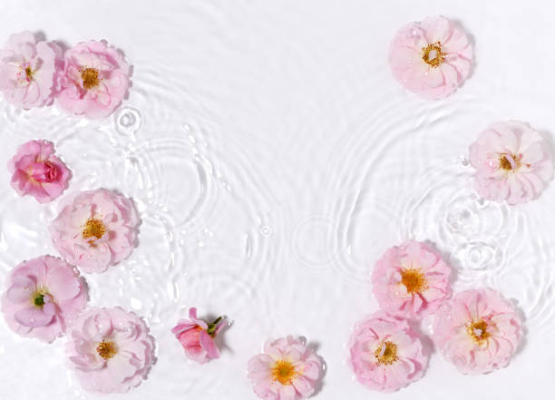 istock Beautiful floral arrangement in water 1443860467