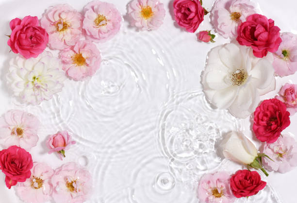 istock Beautiful floral arrangement in water 1443860475