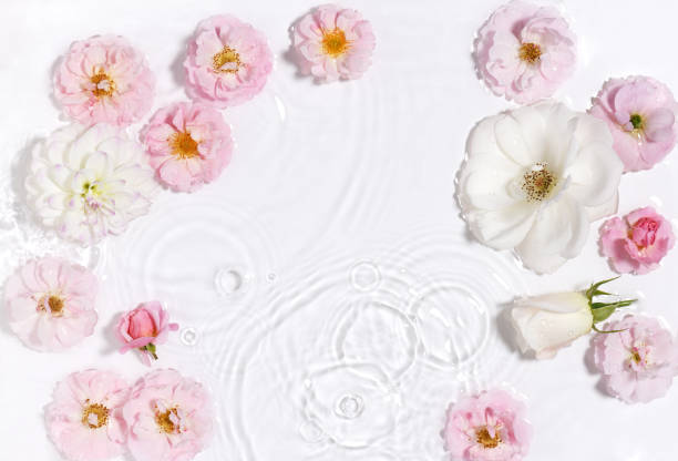 istock Beautiful floral arrangement in water 1443860486