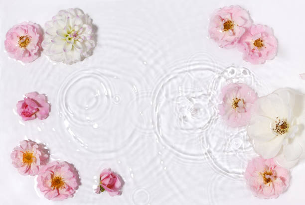 istock Beautiful floral arrangement in water 1443860487