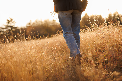 Close-up shot of unrecognizable young woman enjoying relaxing walk in autumn meadow at sunset, back view