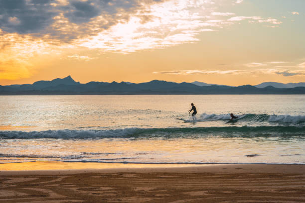 people doing surf in Byron bay, Australia at sunset stock photo