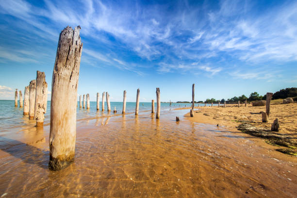 Vintage wood poles of rail ramp on the beach of Fort Royer oyster farm site, ile dOleron, Nouvelle Aquitaine region, department of Charente-Maritime, France. stock photo