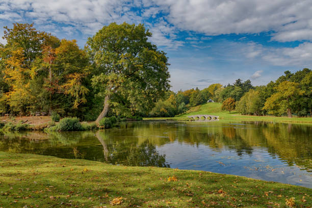 Painshill Park - Cobham Surrey UK An English Park with lake and five arched bridge over and a Turkish tent in the distance. Oak and various trees surround the lake with grass. surrey england stock pictures, royalty-free photos & images