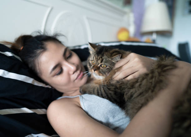 istock Woman playing with her cat at home 1443880047