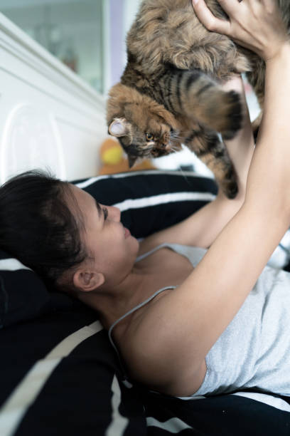 istock Woman playing with her cat at home 1443880059