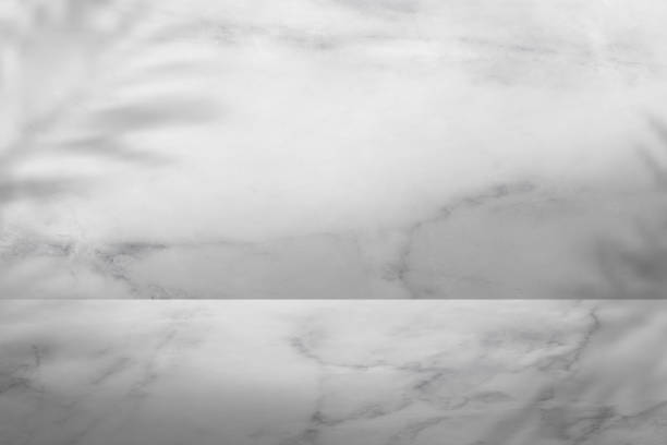istock Marble White and Gray color with Palm Leaf shadow on Wall Studio background.Grey nature granite floor surface good for presentation cosmetic products for sale online. Minimal concept 1443882283