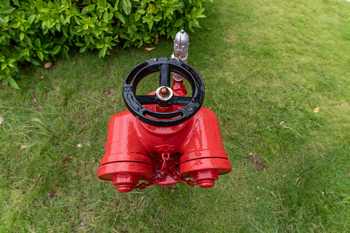 Red fire hydrant on green grass