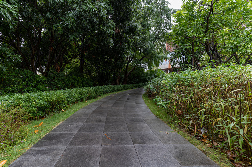 Outdoor floor road and roadside green plants in rainy day