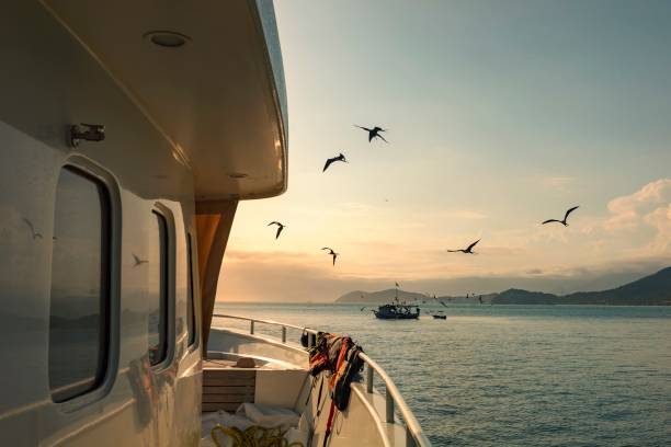 yacht naviguant au coucher du soleil. bateau de p�êche à la crevette avec des oiseaux affamés volant. - sao sebastiao photos et images de collection
