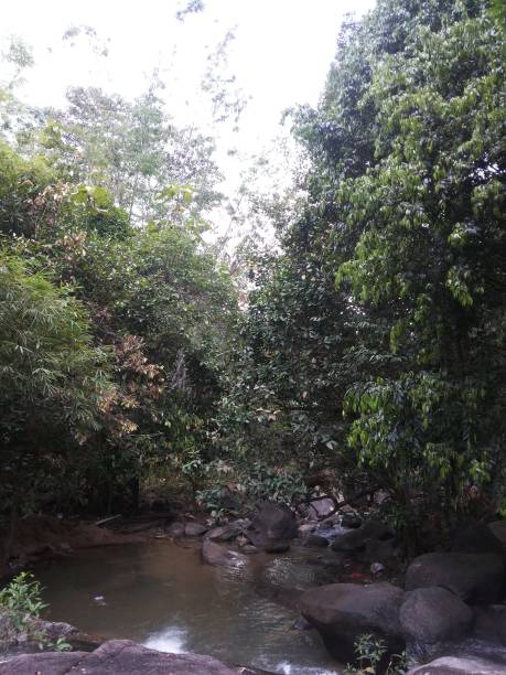 istock Beautiful waterfall in Central Bangka 1443896028