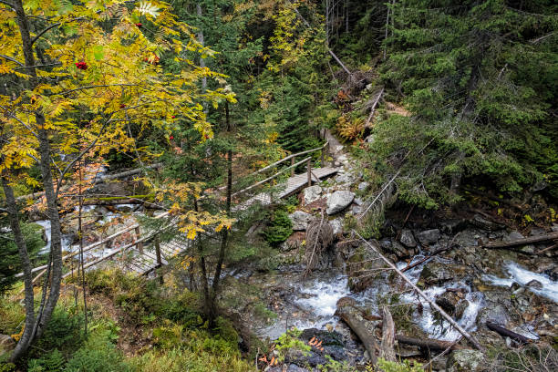 ponte de madeira perto da cachoeira de kmeť, vale do endro, montanha dos tatras, eslováquia - 16727 - fotografias e filmes do acervo