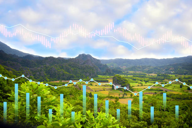 istock Stock market trading on mountain background 1443896762