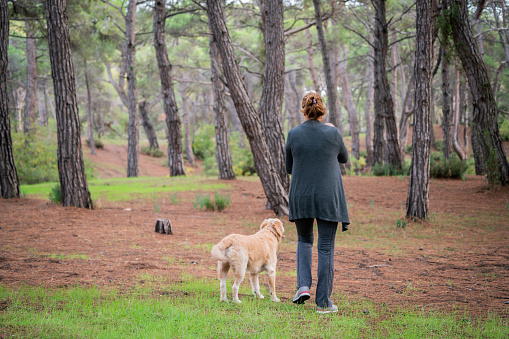 Rear view of an unrecognizable woman exploring the woods along with her dog companion.