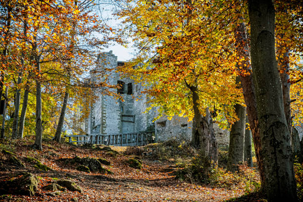 istock Uhrovec castle ruins, Slovakia 1443898814