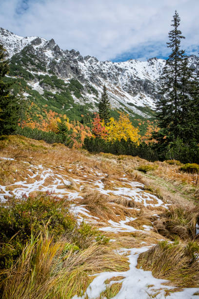 herbstszene im temnosmrecinska-tal, hohe tatra, slowakei - 16747 stock-fotos und bilder