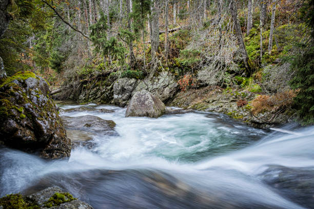 paysage d’un ruisseau dans la vallée de l’aneth, montagne des hautes tatras, slovaquie - 16733 photos et images de collection