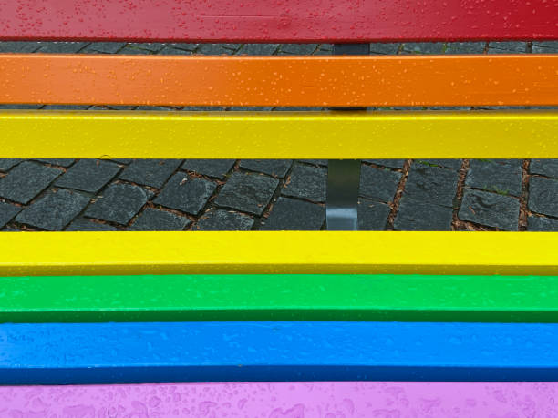 istock Gay pride coloured bench close up 1443902551