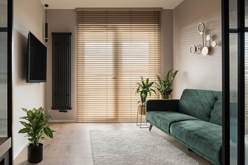 Small and stylish living room with big window with wooden blinds, green sofa and plants