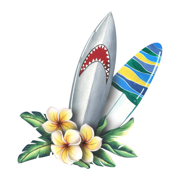 stockillustraties, clipart, cartoons en iconen met surfboards with shark pattern and striped print in plumeria colors and tropical leaves. watercolor illustration. composition from the surfing collection. for decoration and design. - toy shark