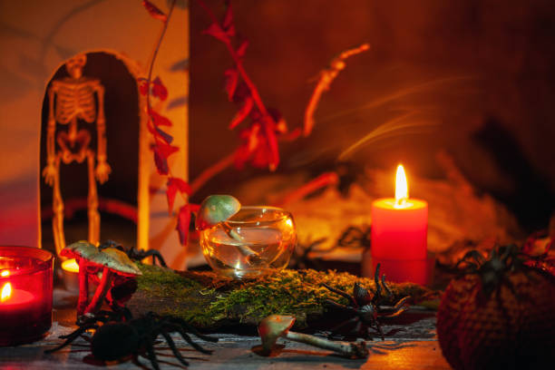 istock Halloween Holiday Concept. A drink with mushrooms toadstools, candles, skeleton and spiders. 1443906929