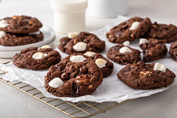 istock Chocolate chip and marshmallow dark chocolate cookies 1443907933