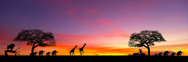 istock Beautiful light on sunset, taken from a drone.sunset and sunrise. 1443908875