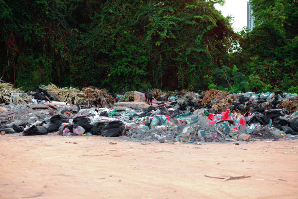 Environmental Degradation: Waste and Trash in Natural Surroundings