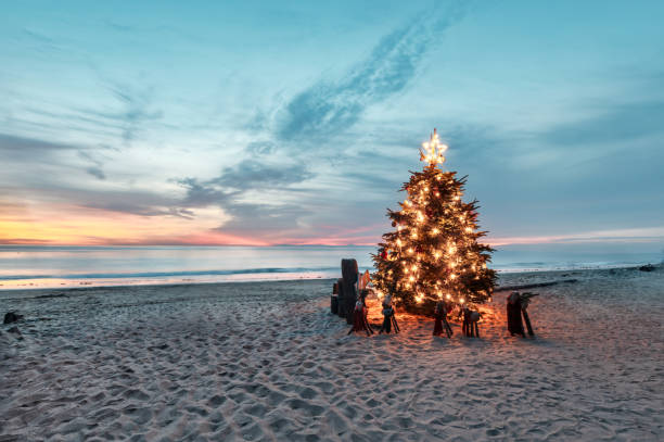 christmas tree on the strand - orange county california beach stock-fotos und bilder