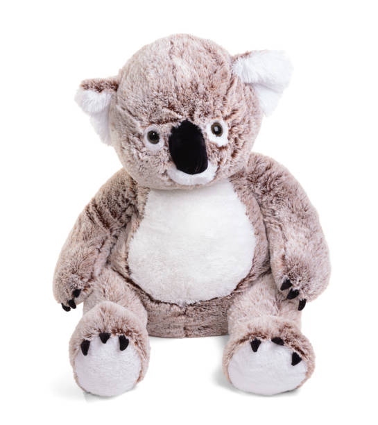 istock Large plush koala toy isolated 1443917061