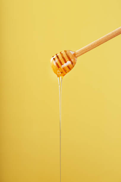 istock Natural Honey flows down from a honey bucket on a yellow background. 1443920588