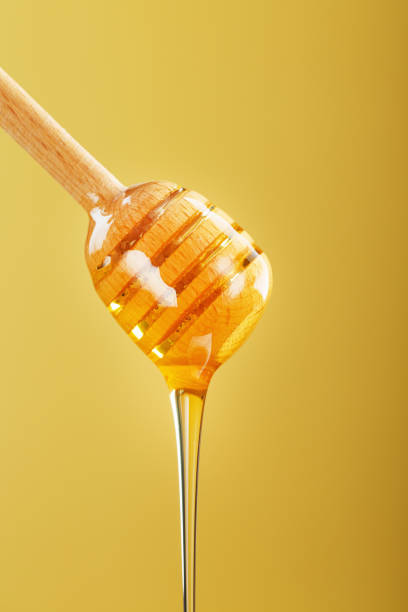 istock Honey drips in a thin stream from a honey dipper on a yellow background. 1443920756