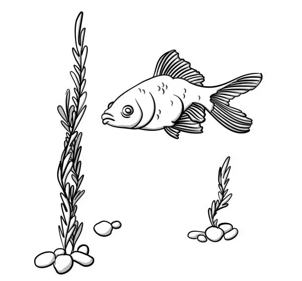 Vector illustration of Luck Little Goldfish Sketch