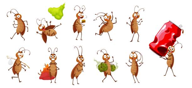 Cartoon funny cockroach pests characters Cartoon cockroach characters. Funny pest bug, scared cockroach isolated vector personage, cheerful insect eating trash, smiling and running, carrying aluminium can and dying from pesticides arthropod stock illustrations