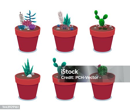 istock Cactuses in red pots vector illustrations set 1443929161