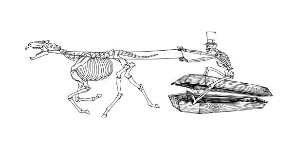 мрачный кучер. воскресший мертвец едет на деревянном гробу. готический персонаж. - dead race stock illustrations