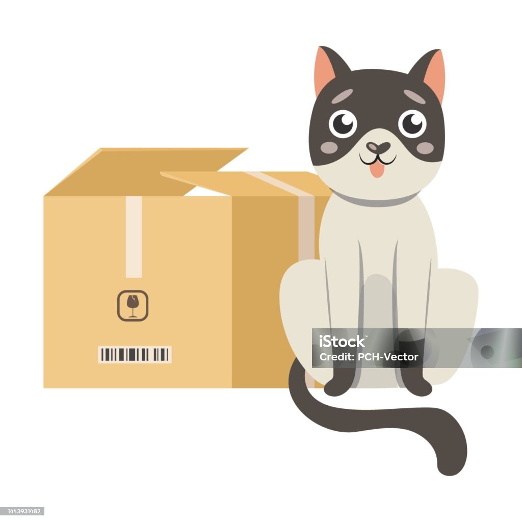 Cat With Box Preposition In Front Cartoon Illustration Visual  Representation Of English Preposition Of Place For Children Pet Above Stock  Illustration - Download Image Now - iStock