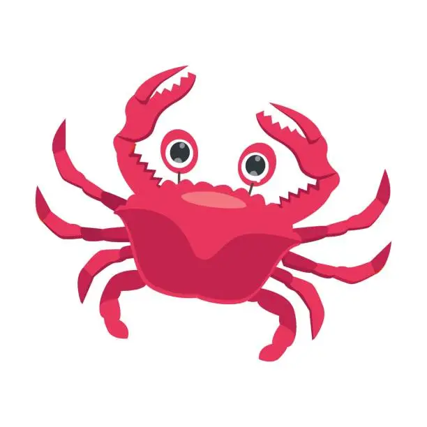 Vector illustration of Crab with claws, ocean or sea creature character vector illustration. Cute funny underwater animal for kids isolated on white background