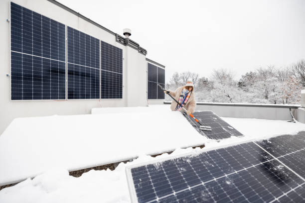 istock Woman cleans solar panels from snow 1443938019