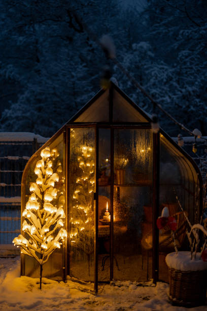 istock Snowy yard with glasshouse and glowing tree graland 1443938344