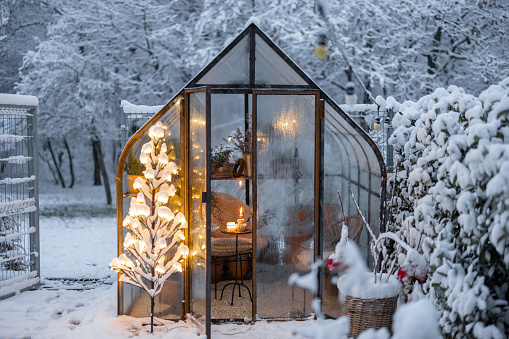 Beautiful snowy yard with vintage greenhouse and glowing tree garland. Concept of New Year holidays and winter magic