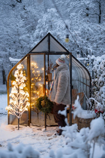istock Snowy yard with glasshouse and glowing tree graland 1443938397