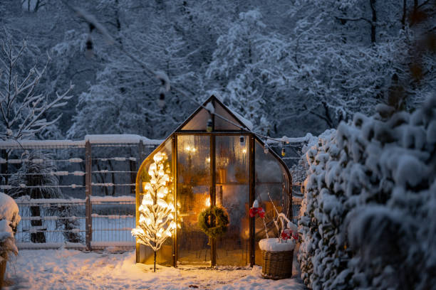 istock Snowy yard with glasshouse and glowing tree graland 1443938441