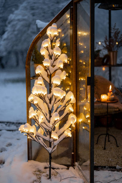 istock Snowy yard with glasshouse and glowing tree graland 1443938516