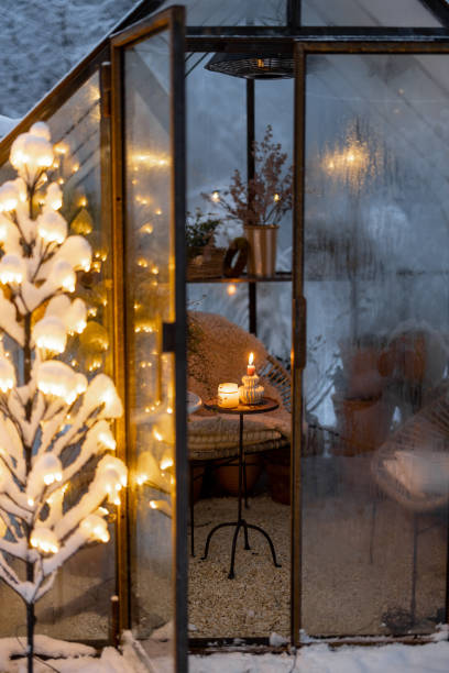 istock Snowy yard with glasshouse and glowing tree graland 1443938557